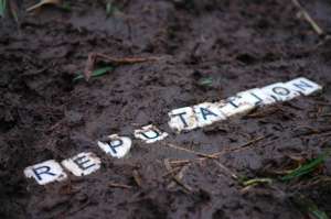 Reputation Recovery Strategies Reputation Recovery Strategies